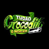 tudaocrocodilo.96