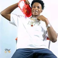 original sound - vanservice223