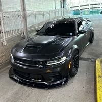 jay.scat
