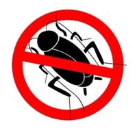 fumigacionesengeneral18