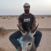 الصوت الأصلي