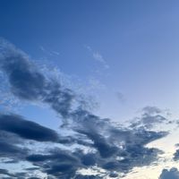 suara asli - arianzynn