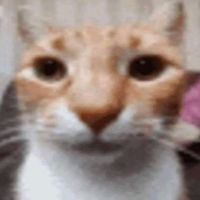 Without Imbu remix de Luc_apenas