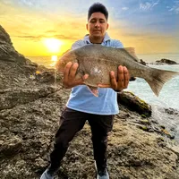 Esta tormenta pasará