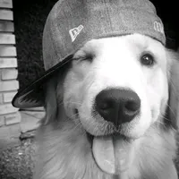 original sound - belle.lyn11