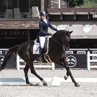 оригинальный звук