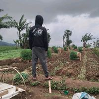 suara asli - doybesot