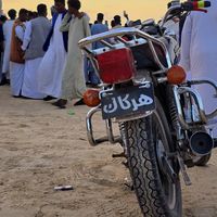 mzmoham31