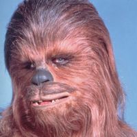 dncgchewie
