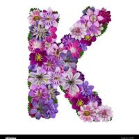 _itzel0110