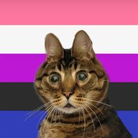 genderfluid_shapeshift3r