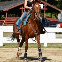 barrelbetty1