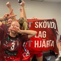 skovdehf.akademi2
