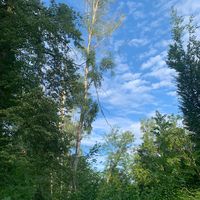 idontknowmynamesrry1