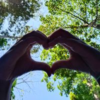 suara asli - song.update