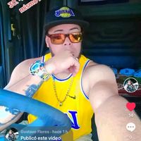 gustavo456flores