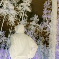 оригінальний звук