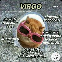 signos_zodiacales1089