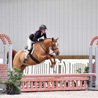 noraoverfences