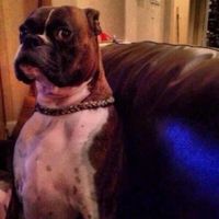 ppl under this sound are hot.