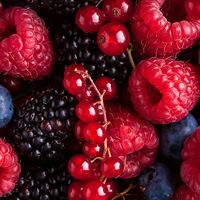 frutilleria_yessi