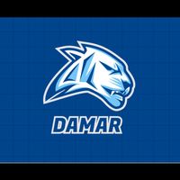 tik.toker.damar