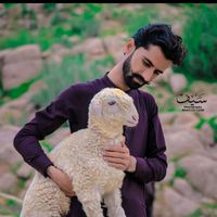 asgharnohri05