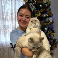 оригінальний звук