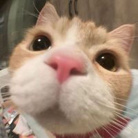 Nothing new by rio romero