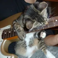 original sound - blueqeditrr