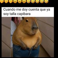 michoacano.sanchez55