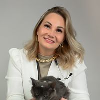 maniadebichoscn