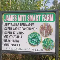 original sound - jamesmiti254