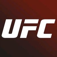 mma.ufc223