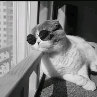 original sound - life.mu