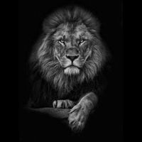 cortesmotivacionais_4