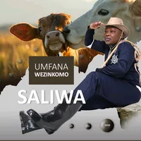 original sound - saliwawempangeni