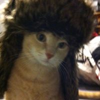 оригинальный звук