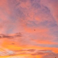 original sound - drizzlemonade