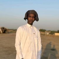 dghakimi2