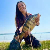 original sound - micaellealves00