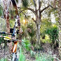 countryboy3139