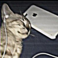 bodoke666