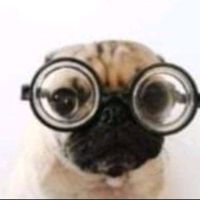 ____dream______________