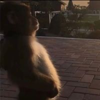 dignitywithoutmorals