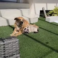 original sound - gati.perri