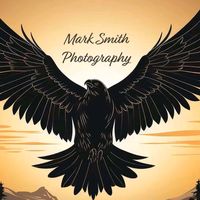 nhạc nền - loving bird