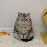 frasesromanticas.ono