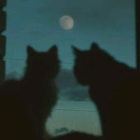 оригинальный звук