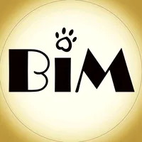 original sound - bim_vitebsk